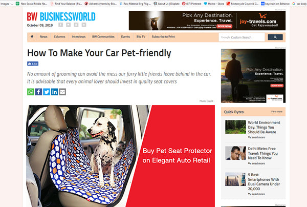 How To Make Your Car Pet-Friendly - Business World