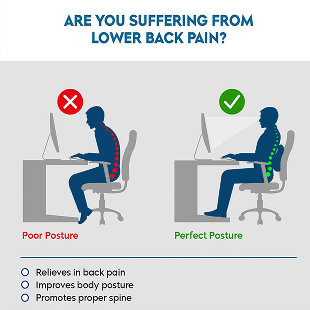 Elegant Memory Foam Slim Full Active Back Rest Support Car Pillow  | Elegant  Auto Retail