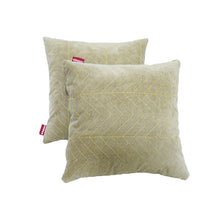 Load image into Gallery viewer, Elegant Comfy Cushion Pillow Line Design Set of 2 CU09
