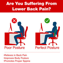 Elegant Posh Memory Foam Lumbar Support Back Rest Pillow